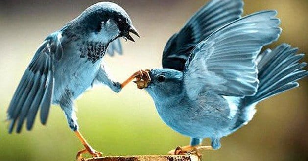 twitter-partner-with-other-sites