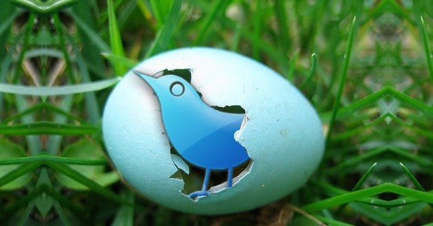 How-to-Increase-The-Search-Engine-Rankings-of-a-Twitter-Profile