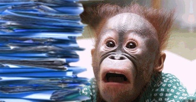 Additional-Useful-Tips