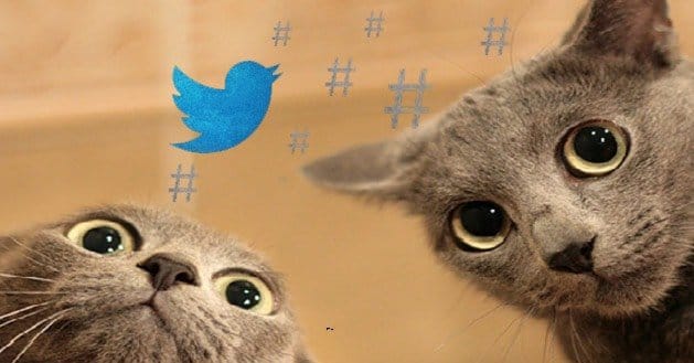 Are-Hashtags-Here-to-Stay