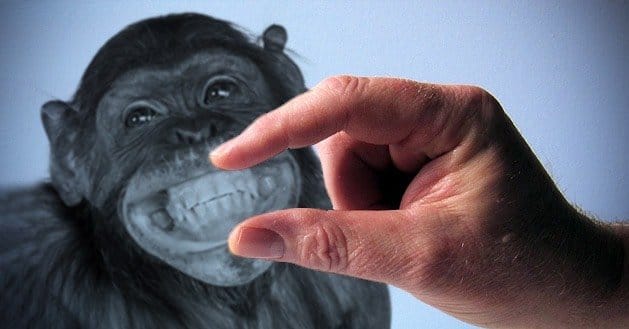 Keep-It-Short-and-Sweet