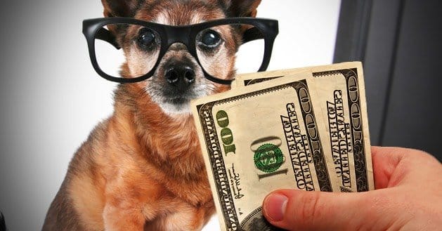 About-Paying-for-Reach