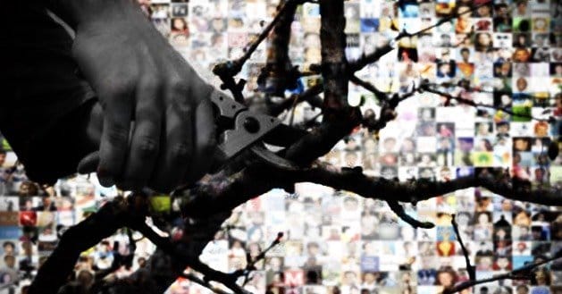 Prune-Your-Followed-Pages