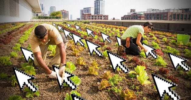 Facebook-Like-Companies-Dont-Really-Use-Clickfarms