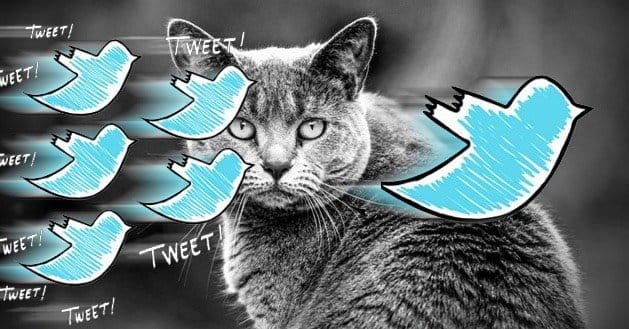 Reasons-You-Should-Avoid-Autofollow-Twitter-Users