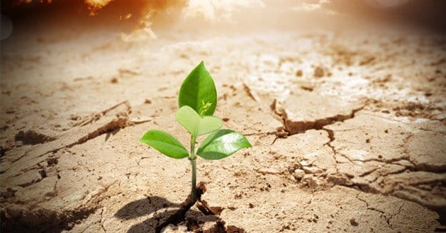 Fan Page Isnt Growing