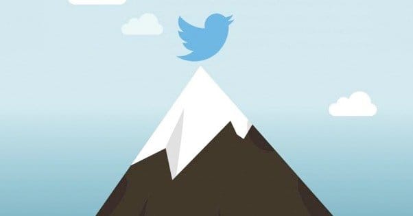 Twitter Growth