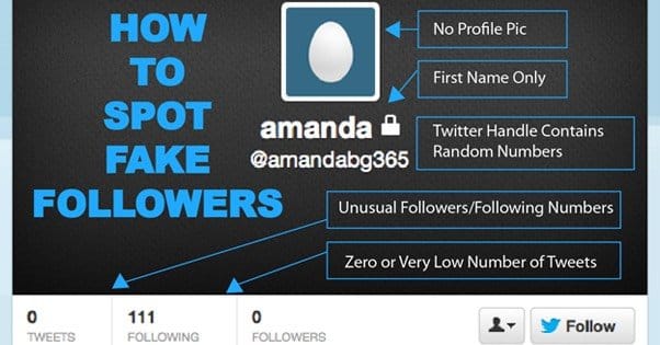 Spotting a Fake Follower