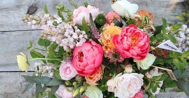 Farmgirl Flowers