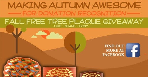 Donation for Charity Contest Example