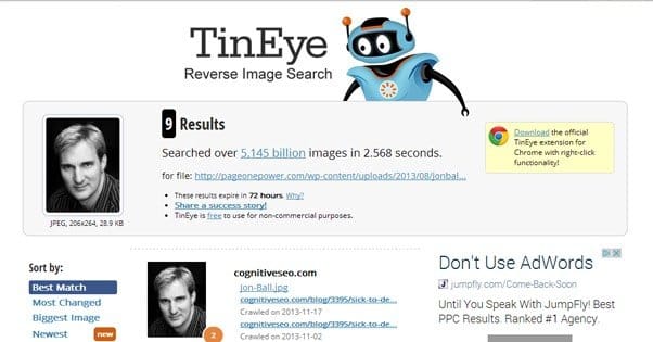 Stolen Photo on Tineye