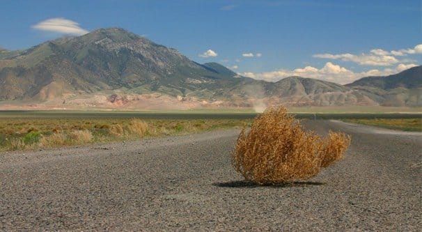 No Posts on Facebook