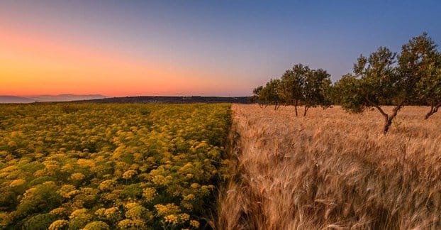 Beautiful DSLR Photo