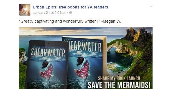 Facebook Ad Book Example