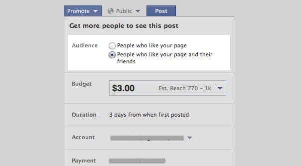 Promote to Your Page Fans