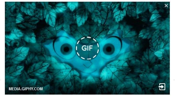 Facebook Gif Preview