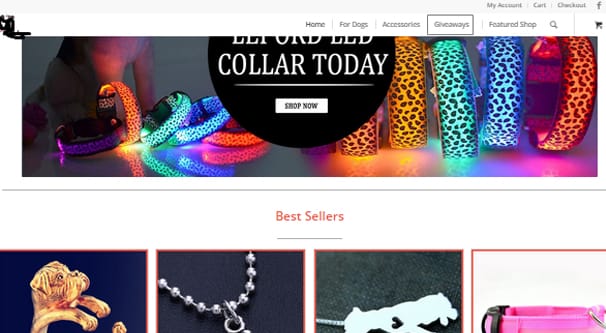 Dropship Landing Page