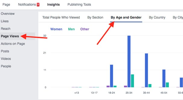 Page Views Screenshot