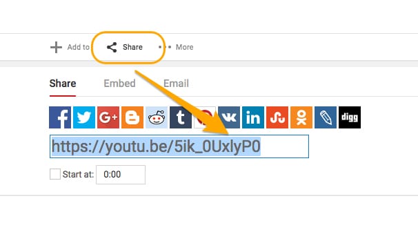 Share a YouTube Video