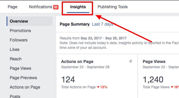 Insights Tab