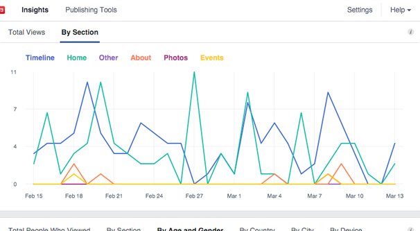 Page Views Section