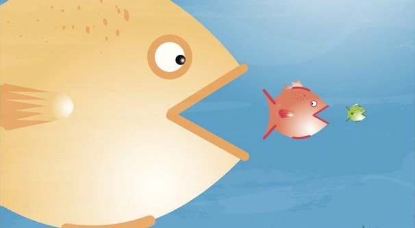 Sponsor Sizes Fish Illustration