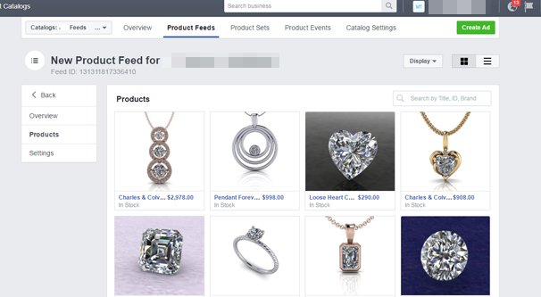 Facebook Catalog Product Manager