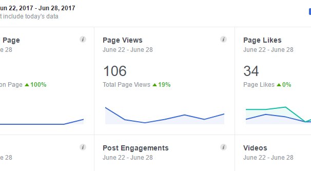 Page Views Stat