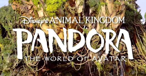 Disney Animal Kingdom Cover