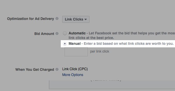 Manual Payments on Ads